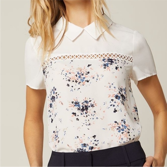 RW&CO. White and Pink Polo Collar Blouse with Eyelet Detail - Picture 2 of 5